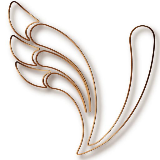 valovasha.com logo